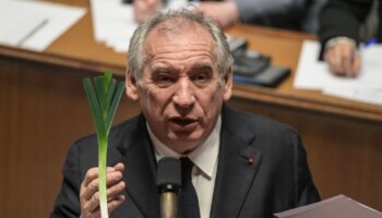 Gouvernement Bayrou : On a vérifié si les poireaux poussent « tous à la même vitesse » contrairement aux enfants